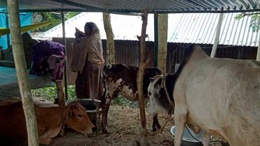 Pabna-Photo.jpg