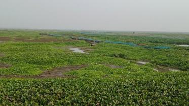 Pabna_Gazonar_Bil_28Nov20.jpg