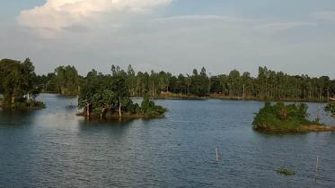 Pabna Photo (Beauty in Chalanbeel)-9.jpg