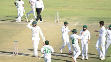 pakistan vs zimbabwe
