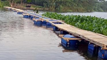 PATUAKHALI.jpg