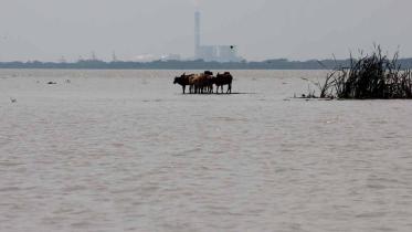 Patuakhali_23Oct20.jpg