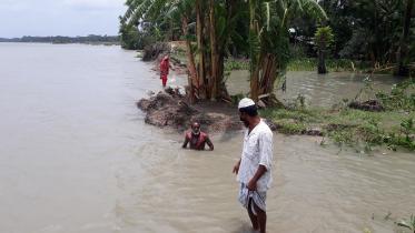Patuakhali ampan.jpg