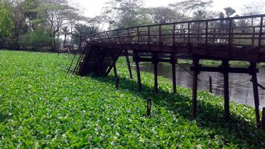 Patuakhali_Bridge