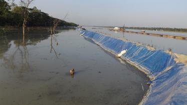 Patuakhali Pic-272 (01.04.20).jpg