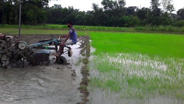 Patuakhali Pic-526 (05.07.jpg