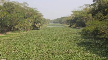 Patuakhali Pic 1016 (09.02.21).jpg