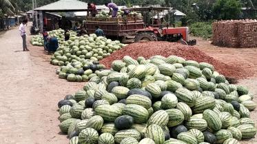 Patuakhali Pic 1146 (06.04.21).jpg