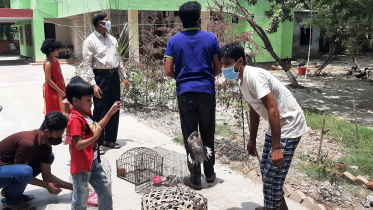 Patuakhali Pic 1233 (08.05.21).jpg