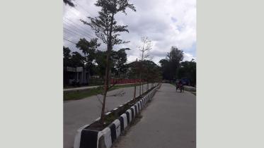 Patuakhali_Road_Divider.jpg