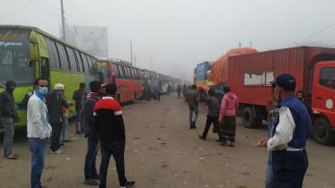 Paturia dec 10 2020.jpg