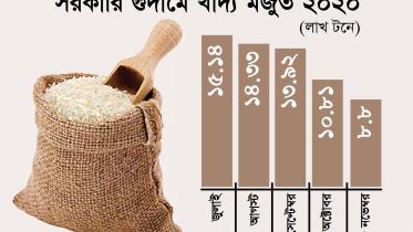 Rice 2.jpg