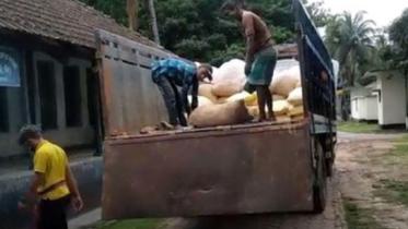 Rice backe by DB Police.jpg