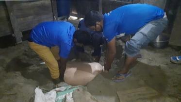 rice_digging.jpg