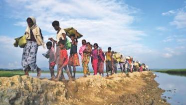 rohingya3.jpg