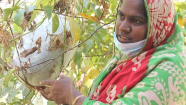 Salma_Begum_19Nov20.jpg