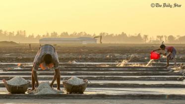 salt_photo_44.jpg