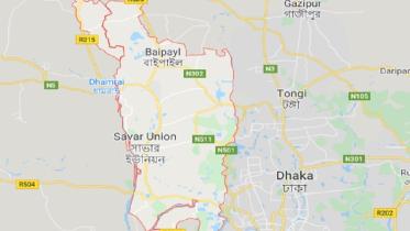 savar.jpg
