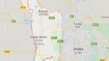 savar.jpg