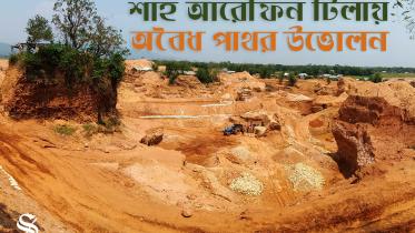 Shah Arefin Tila_Thumbnil_BN.jpg