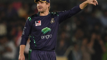 shane watson