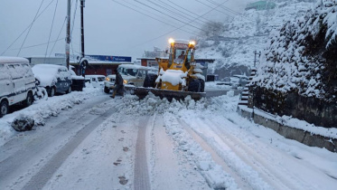 shimla