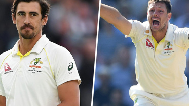 starc and pattinson