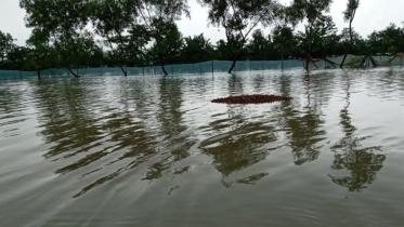 sunamgonj.jpg