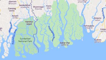 Sundarban.jpg