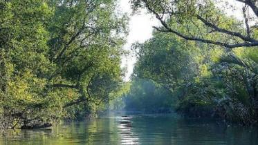 sundarbans