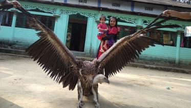 Sylhet Vulture Rescue Photos (3).jpg