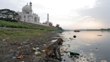 taj_reuters.JPG