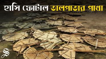 Talpatar pakha_Thumbnil.jpg