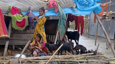 tangail_flood.jpg