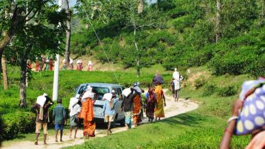 Tea labourers children.jpg