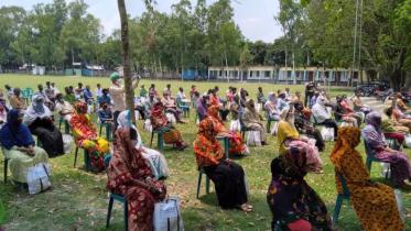 thakurgaon school.jpg