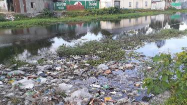 tista4.jpg