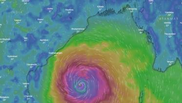 Windy 1.jpg