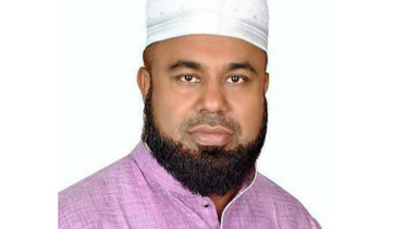 shahin.jpg