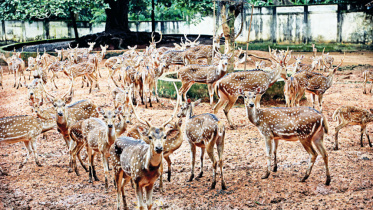 dhaka-zoo-2.jpg