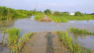 tangail_flood.jpg