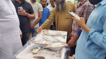 benapole_photo-18_mt_hilsa_export_to_india_today_-28.10.21.jpg