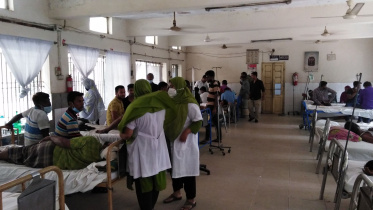 savar.jpg