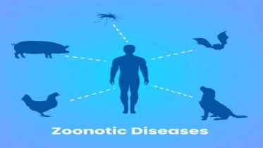 zoonotic_diseases.jpg