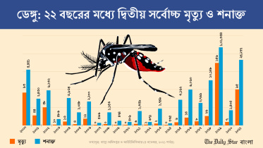 dengue.jpg