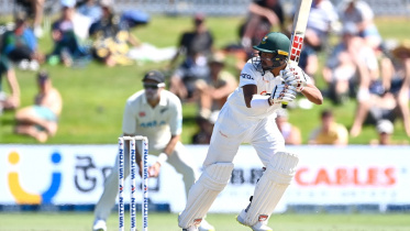 nazmul hossain shanto  