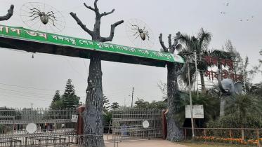sfari park 2