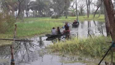vobodoho_1.jpg