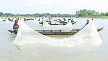 halda_fish_egg_1.jpg