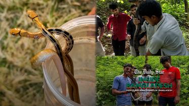 snake_rescue_team_bangladesh.jpg